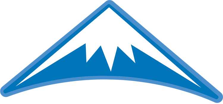 Denver Nuggets 2007 Alternate Logo DIY iron on transfer (heat transfer)